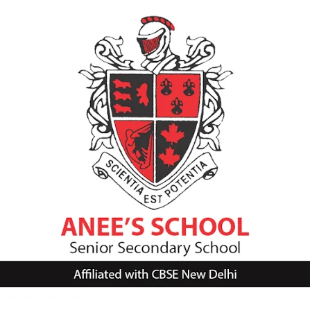 Anees School logo